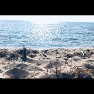 Meet your Posher, Lily